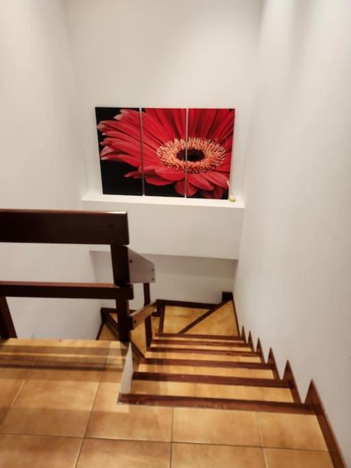 Appartement Duplex Rua Sol - Netflix à Laxe Extérieur photo